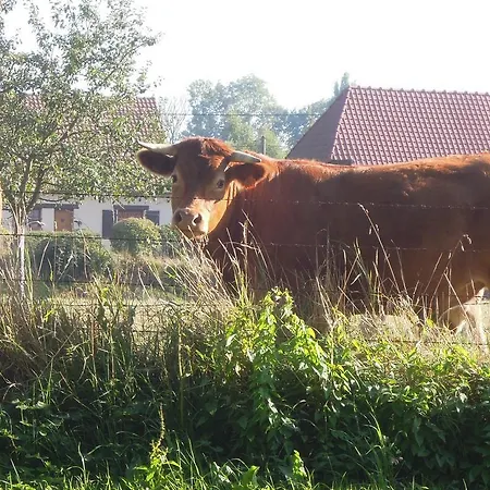 Bed & Breakfast La Maison De Lalette Gruchet-Saint-Simeon