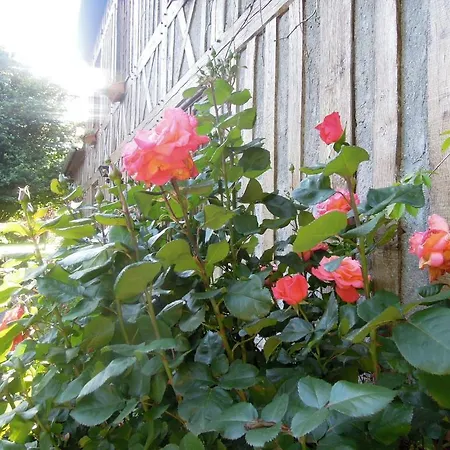 ベッド・アンド・ブレックファスト La Maison De Lalette - Et Workshop Photo Durant La Belle Saison - Gruchet-Saint-Siméon