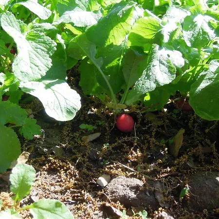 ベッド・アンド・ブレックファスト La Maison De Lalette - Et Workshop Photo Durant La Belle Saison -