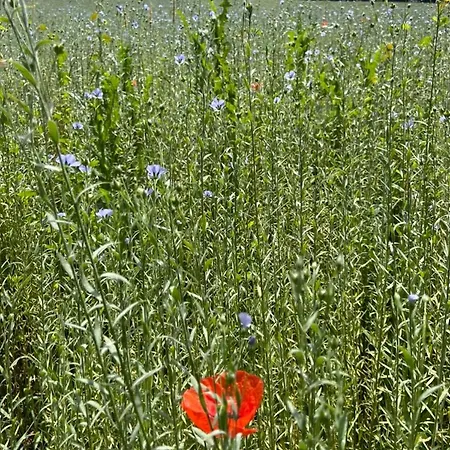 La Maison De Lalette - Et Workshop Photo Durant La Belle Saison - 4*